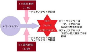 五十嵐内科 仙台市宮城野区福室 内科 呼吸器 循環器 土曜ＰＭ診療 喘息 高血圧症 糖尿病 脂質異常症 痛風 生活習慣病 肥満 ダイエット外来 睡眠時無呼吸症候群 発熱外来 AGA