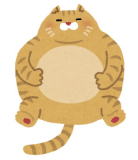 五十嵐内科 仙台市宮城野区福室 内科 呼吸器 循環器 土曜ＰＭ診療 喘息 高血圧症 糖尿病 脂質異常症 痛風 生活習慣病 肥満 ダイエット外来 睡眠時無呼吸症候群 発熱外来 マンジャロ ゼップバウンド