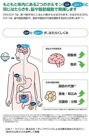 五十嵐内科 仙台市宮城野区福室 内科 呼吸器 循環器 土曜ＰＭ診療 喘息 高血圧症 糖尿病 脂質異常症 痛風 生活習慣病 睡眠時無呼吸症候群 発熱外来 肥満症外来 ダイエット外来 GIP/GLP-1作動薬 ゼップバウンド マンジャロ 安い InBody測定